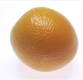 Stomach Cancer Symptoms and Prevention discussed on the ‘Dr Oz Show’