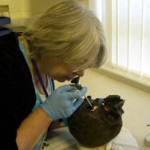 Dr. O'Connor examines the skull.  Image courtesy of Bradford University.