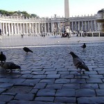 Pigeons being fed by tourists in Saint Peter's Square, Vatican City