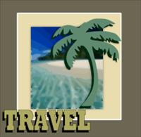 palm tree and ocean travel - DNR