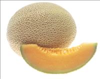 cantaloupe_credit_national_cancer_institute_Renee Comet (photographer) pd