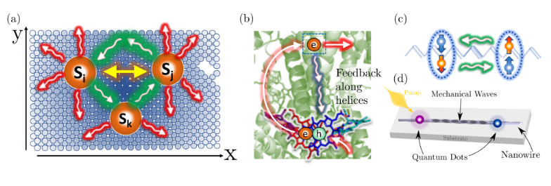 (a) Spatially distributed systems dissipate energy into their environment and/or cause local deformations that typically propagate and are lost in the bulk medium (red arrows). When systems are packed into nanoscale regions, a significant fraction of environmental excitations will encounter neighbouring systems and influence their dynamics (green arrows), even if the systems are uncoupled (yellow arrow indicates coherent coupling). These interactions are retarded, i.e. depend on the speed of signal propagation and the separation of the systems, providing new time and length scales to their now cooperative dissipative dynamics.