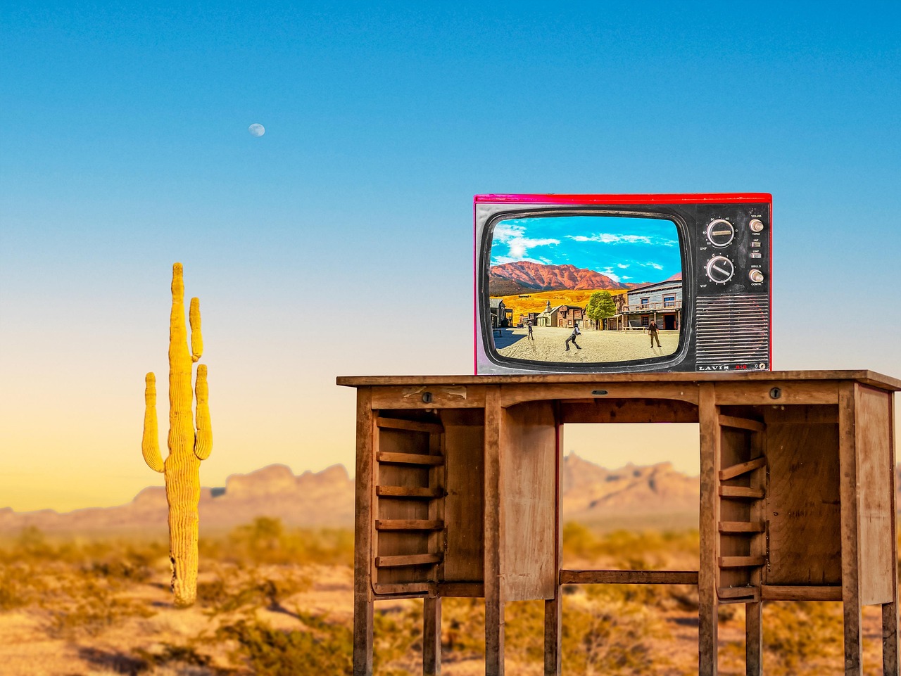 tv, nature, television, cactus, vintage