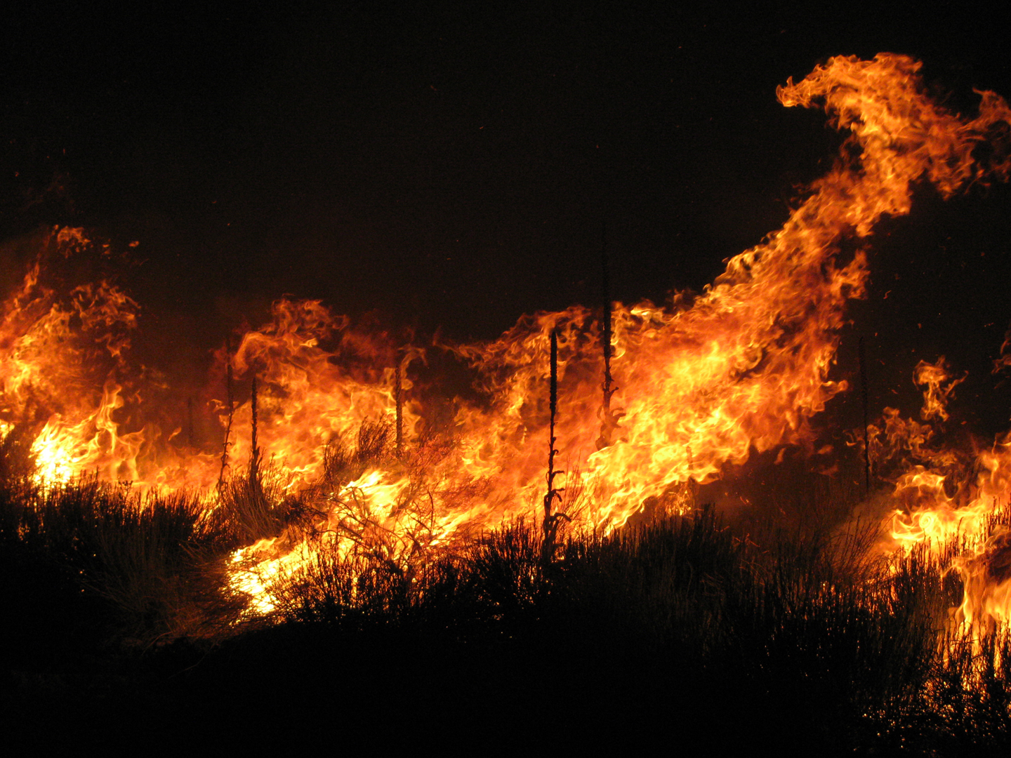 Wild Horse Fire 2009 (4439407302).jpg