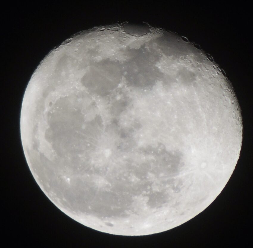 This photo is offered because it is a superior presentation of the full Beaver Moon when compared to the posted photos found in the "Craters of the Moon" (Nikon P510 42x)