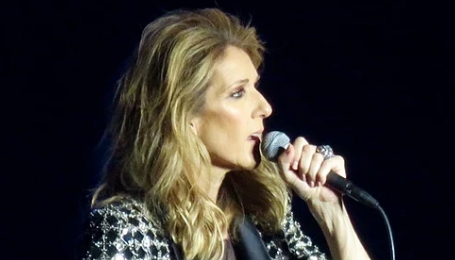 Celine Dion Live 2017  Celine Dion at Birmingham's NIA during her Céline Dion Live 2017 tour.