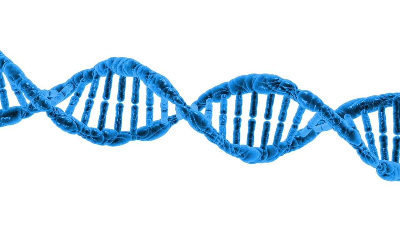 dna, biology, science, dna helix, protein