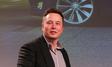 Elon Musk at the 2015 Tesla Motors Annual Meeting